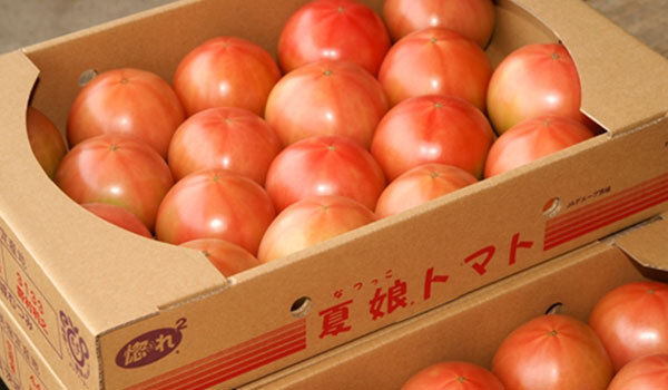 茨城県境町徳産野菜のトマト