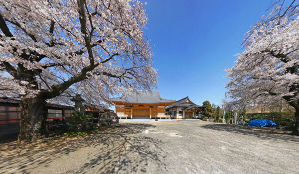 茨城県境町亀形山吉祥院の桜